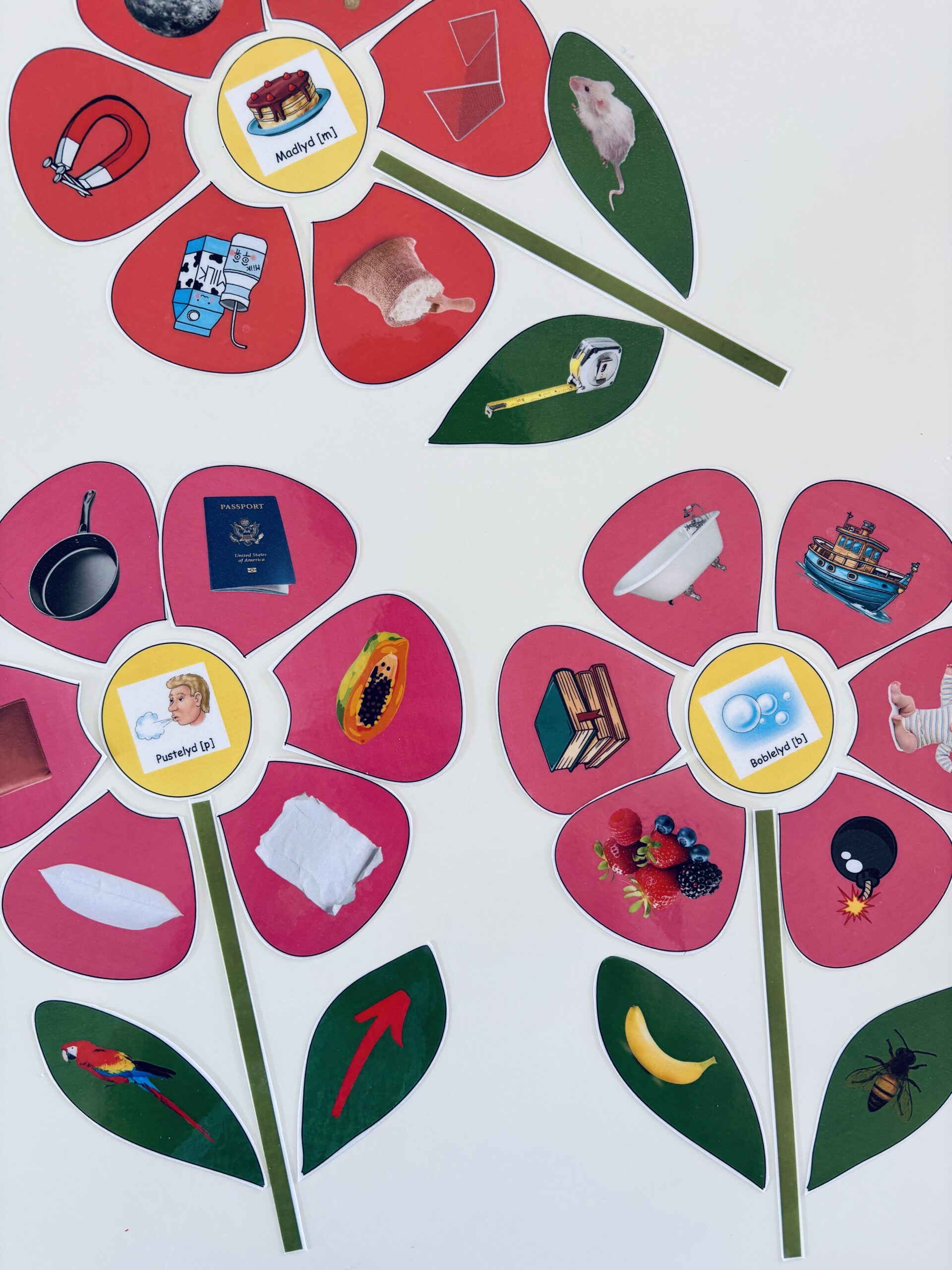 Byg en lyd-blomst: Træning af /r/ og /h/