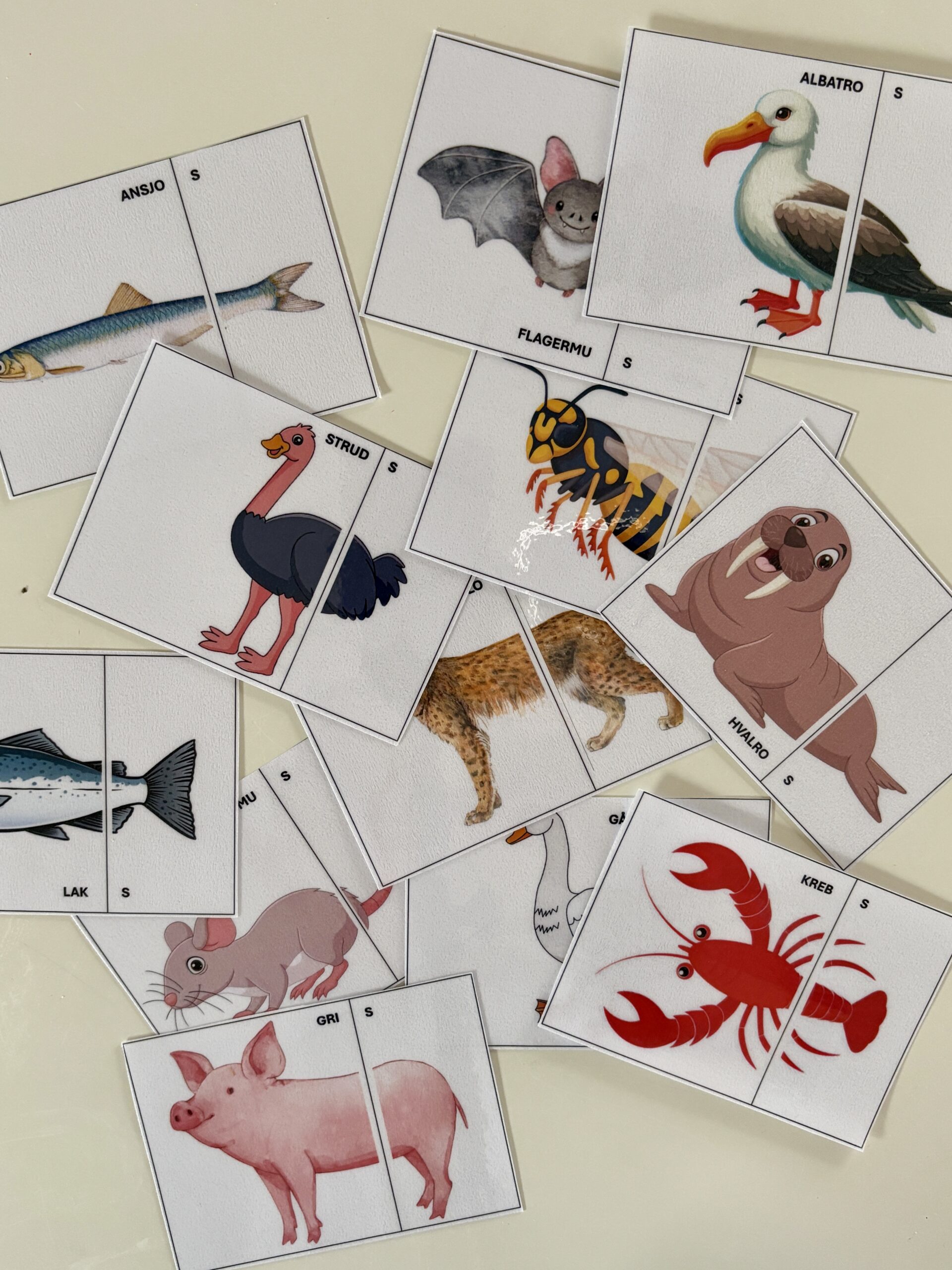 Sæt halen på dyret: Træning af finalt -s